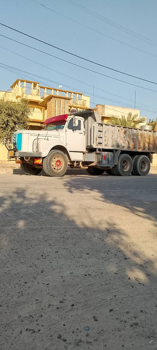 كلابه ميا ويدعش للبيع باقي التفاصيل عل رقم *********** بل موصل
