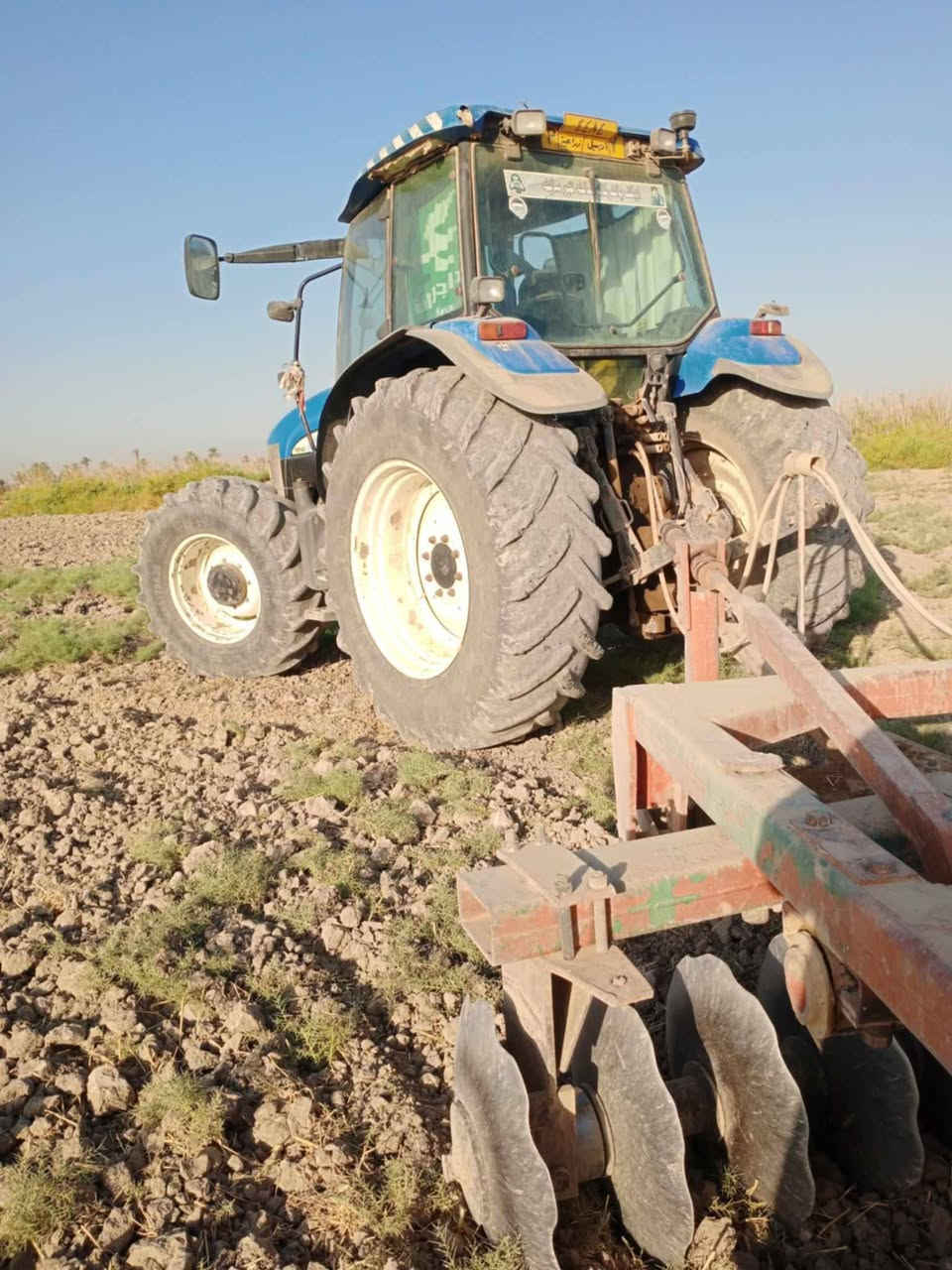 للبيع 140 ايطالي فول عادي مكينه جاهزه لعمل تواصل واستفسر بهذه رقم ***********
