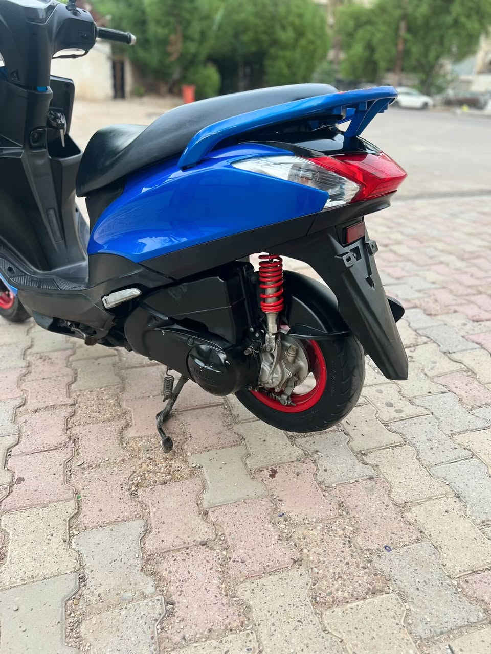 اكزز • اوراق • نظام ايكو
