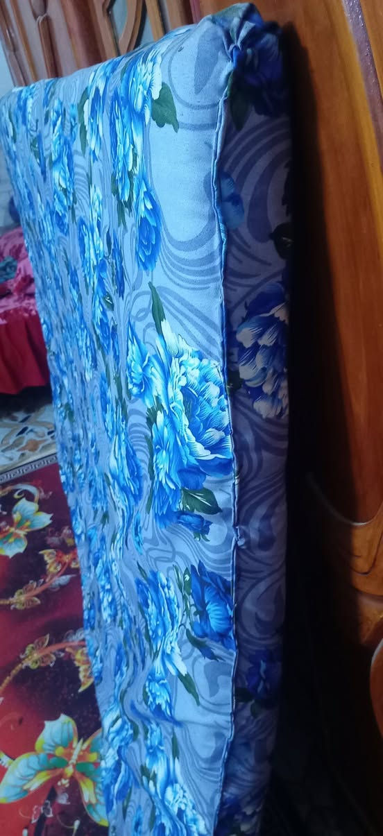 نفرين سفنج • حي الجهاد