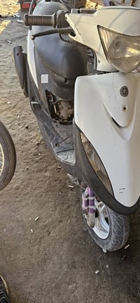 بلاديه • كله • بيه مجال