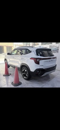 سيلتوس • ٢٠٢٥ • بدون رقم
