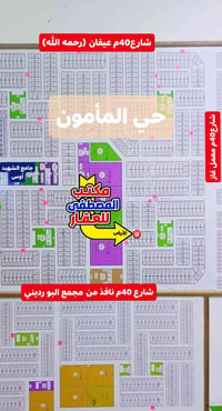 المأمون الفلوجة • ٢٥٠م • ملك صرف