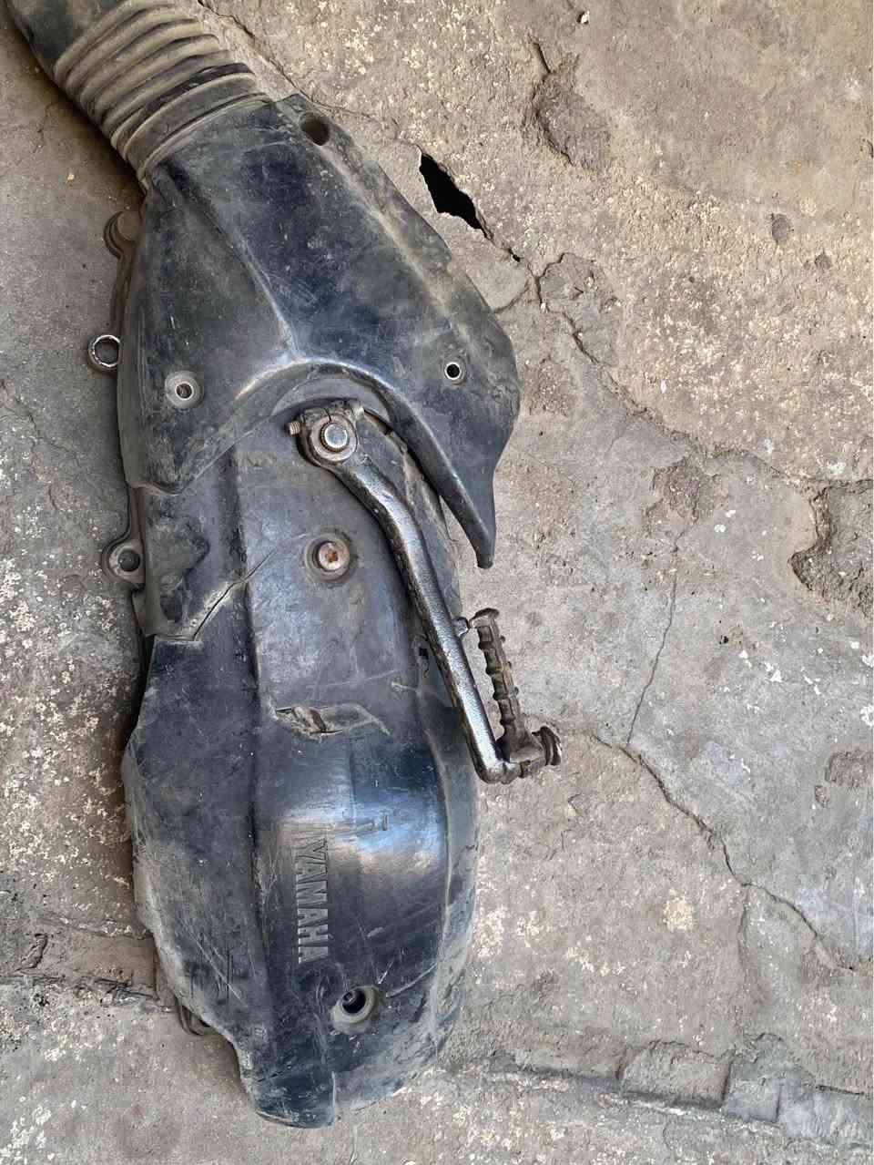 دشبول فحل نضيف اب٥٠ وقبق هندر سكنس فحل ونثية ولد كامل هوة والسواد والواشر مالةاب٢٥ قفل قفل المكان حي القاهرة قرب جامع النداء الرقم *********** بغداد, العراق
