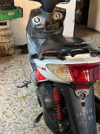 سكنس فحل • ياباني • نوزل خطين
