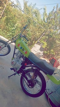 حربي • رابيدو • معمرة
