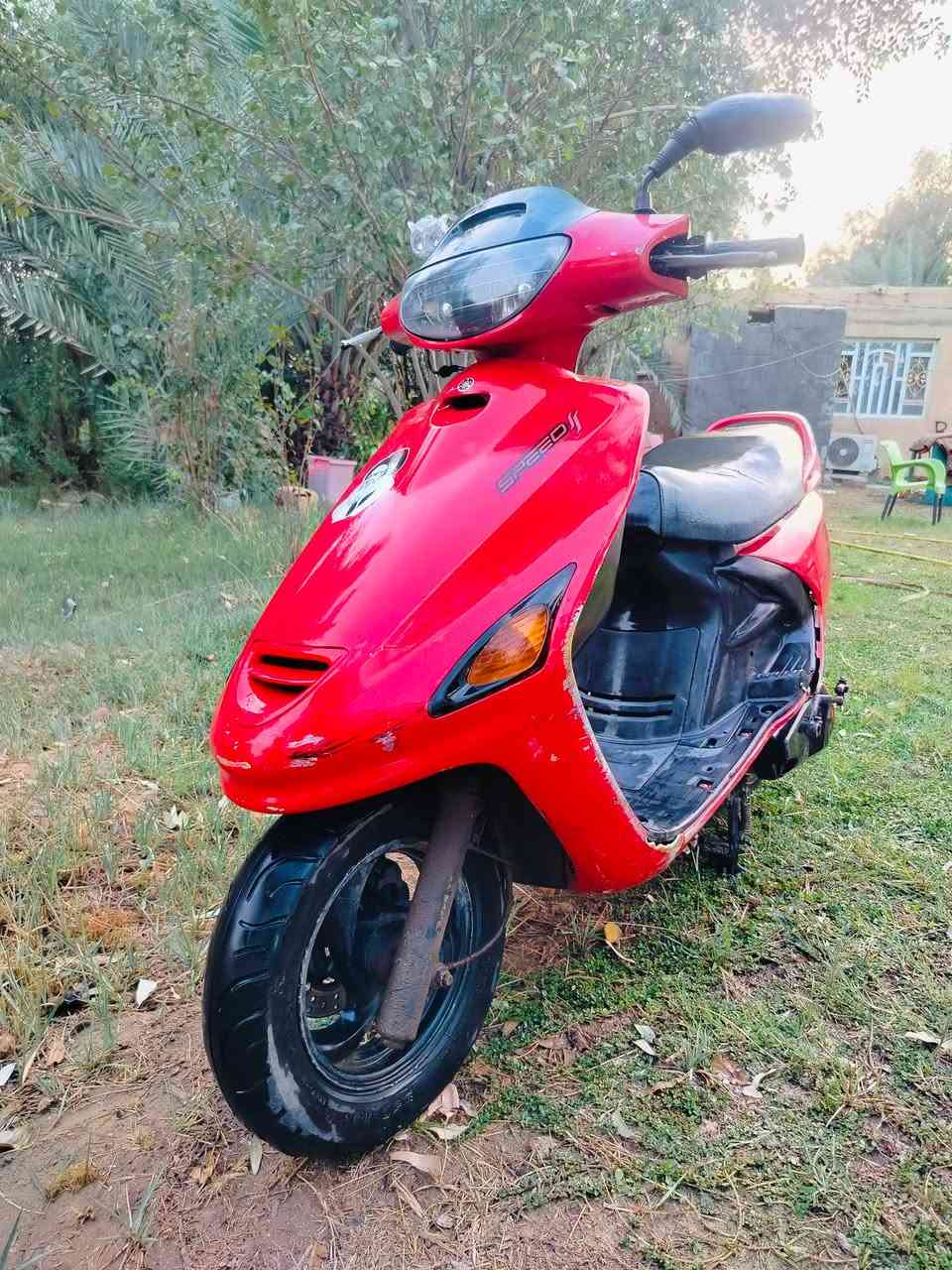فراشة • مامفتوح • سلف وهندر