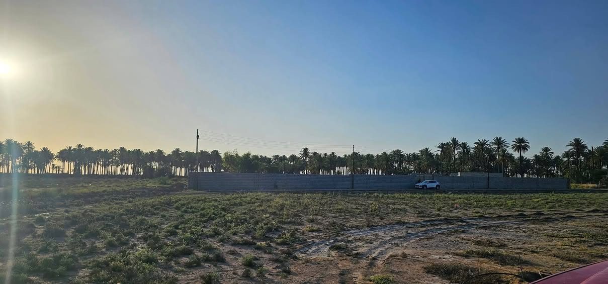 اربع (٤) قطع اراضي ٢٠٠م (١٠×٢٠) طابو زراعي سند (٢٥)
الموقع الغالبية

تبعد عن الشارع العام وتقاطع الغالبية ٦٥٠ م

اقرب نقطة داله مدرسة الشهيد محمد قاسم العبادي للبنين

خدمات كاملة بس ذب بلوك وابني 

السعر مناسب كلش ال٢٠٠م ب ٢٠ مليون 

للتواصل خاص
 او 
***********
