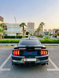 موستانك جي تي • ٥٠٠٠ V8 • رقم اربيل
