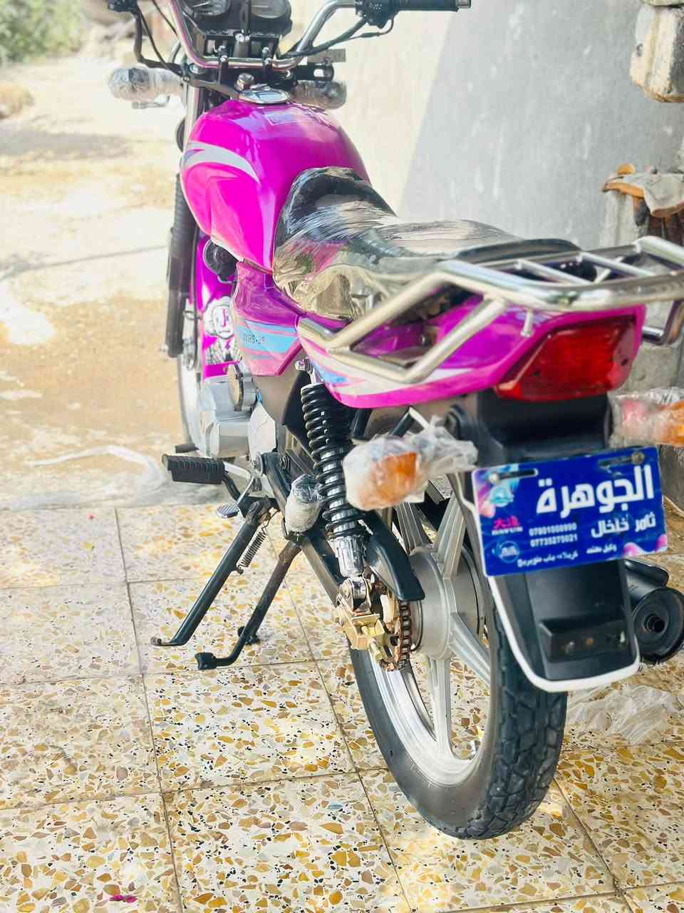 دايون عظم • موديل ٢٠٢٣ • اوراق