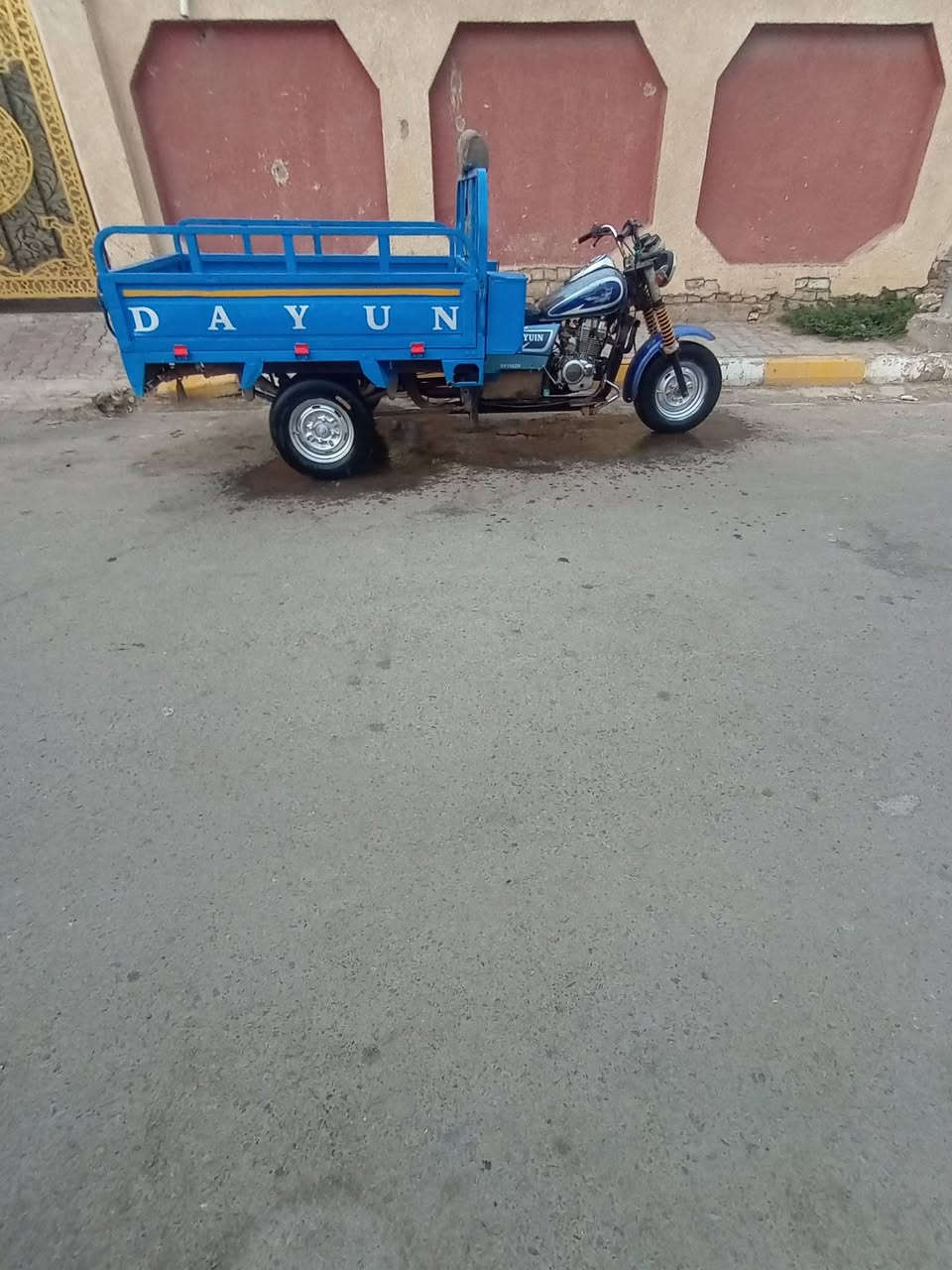 ستوته • ٢٠١٥ • شاصي مكفول