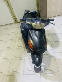 دولفين • ياباني • سلف