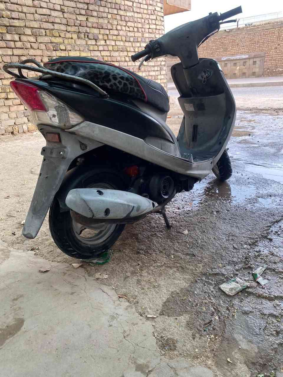 منغولي • معدل • ٥٥
