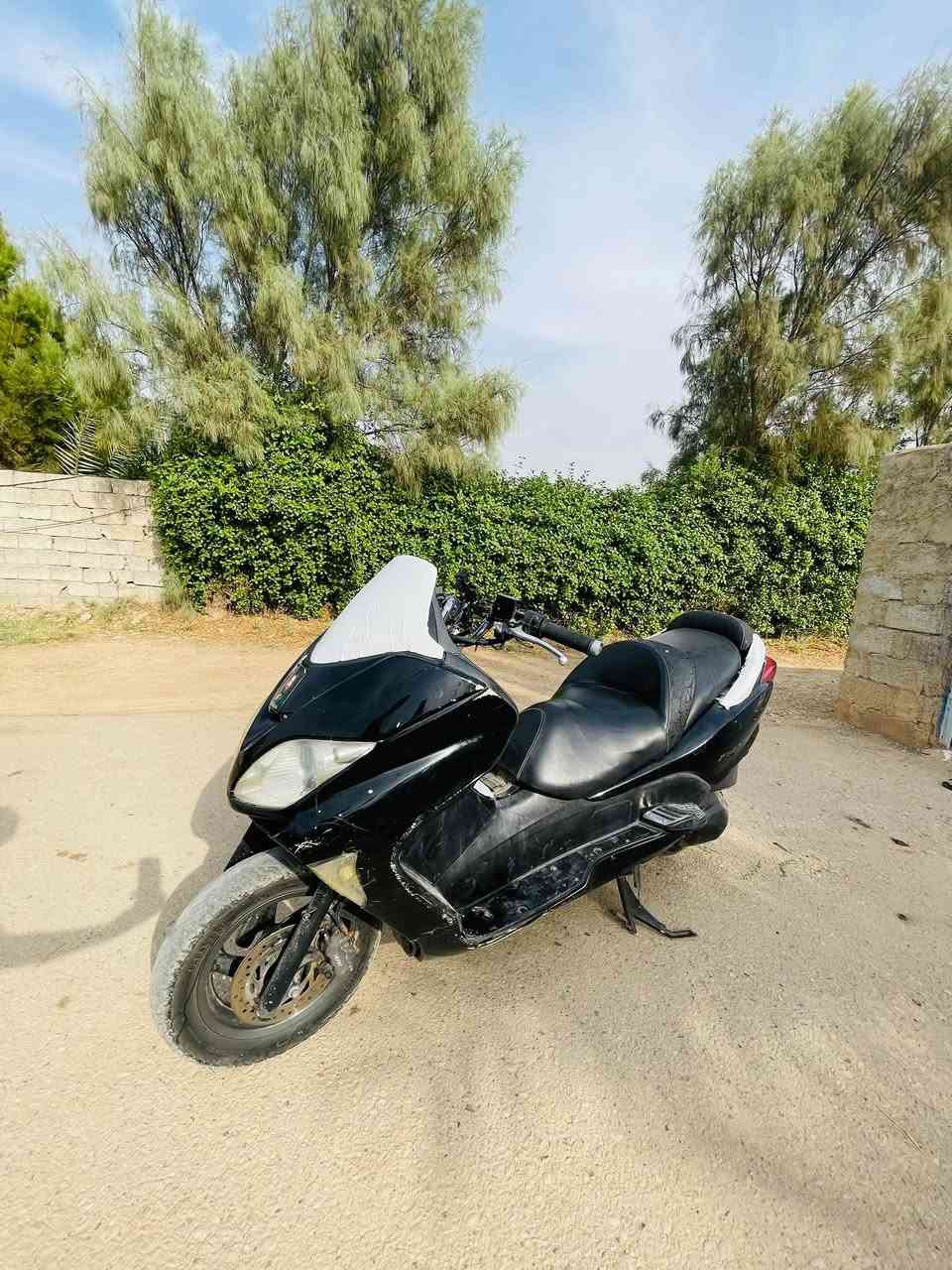 فورزا • ٢٠١٢ • كنعان
