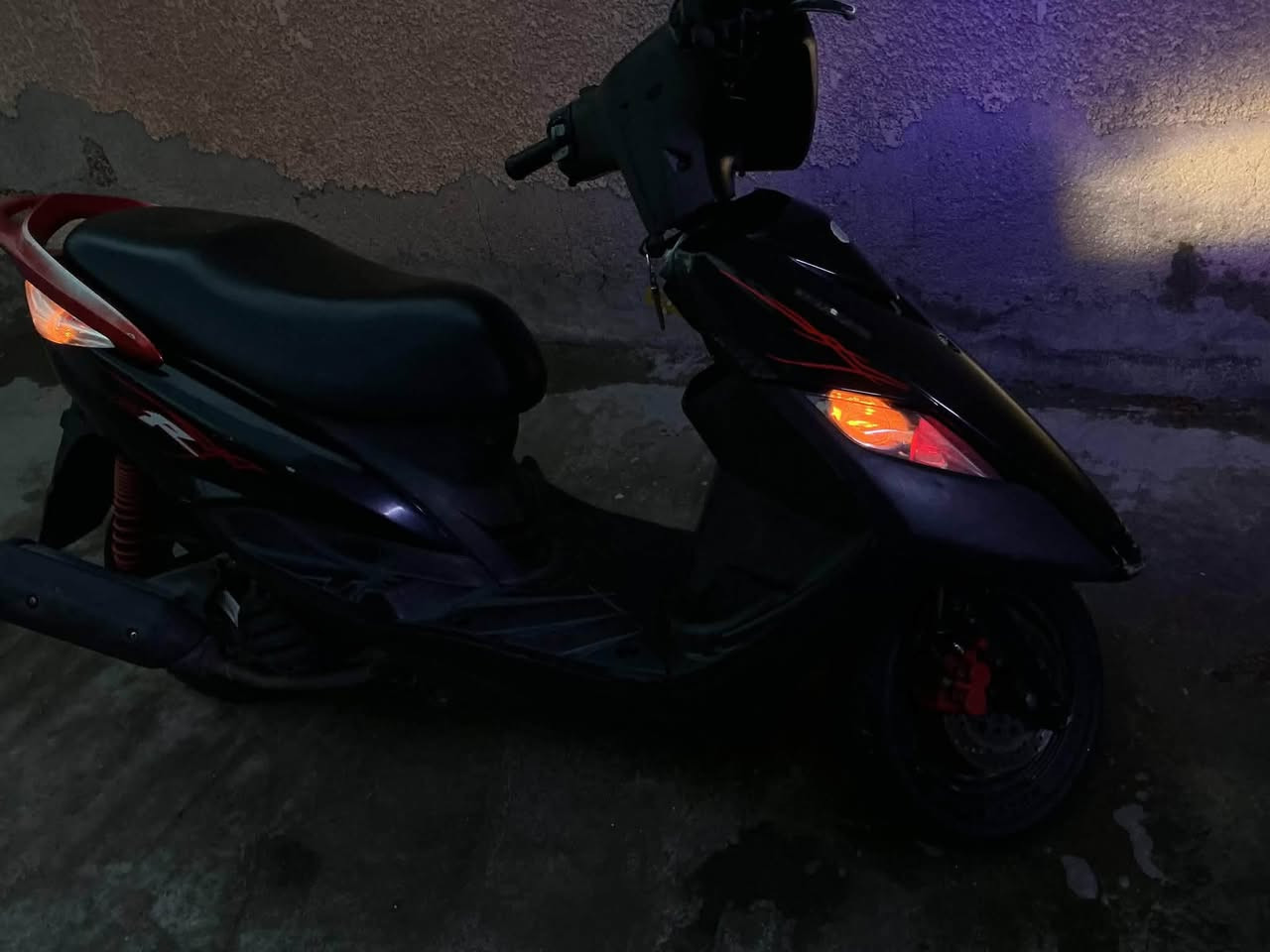 ثعلب • زنون • كلجات رياضية