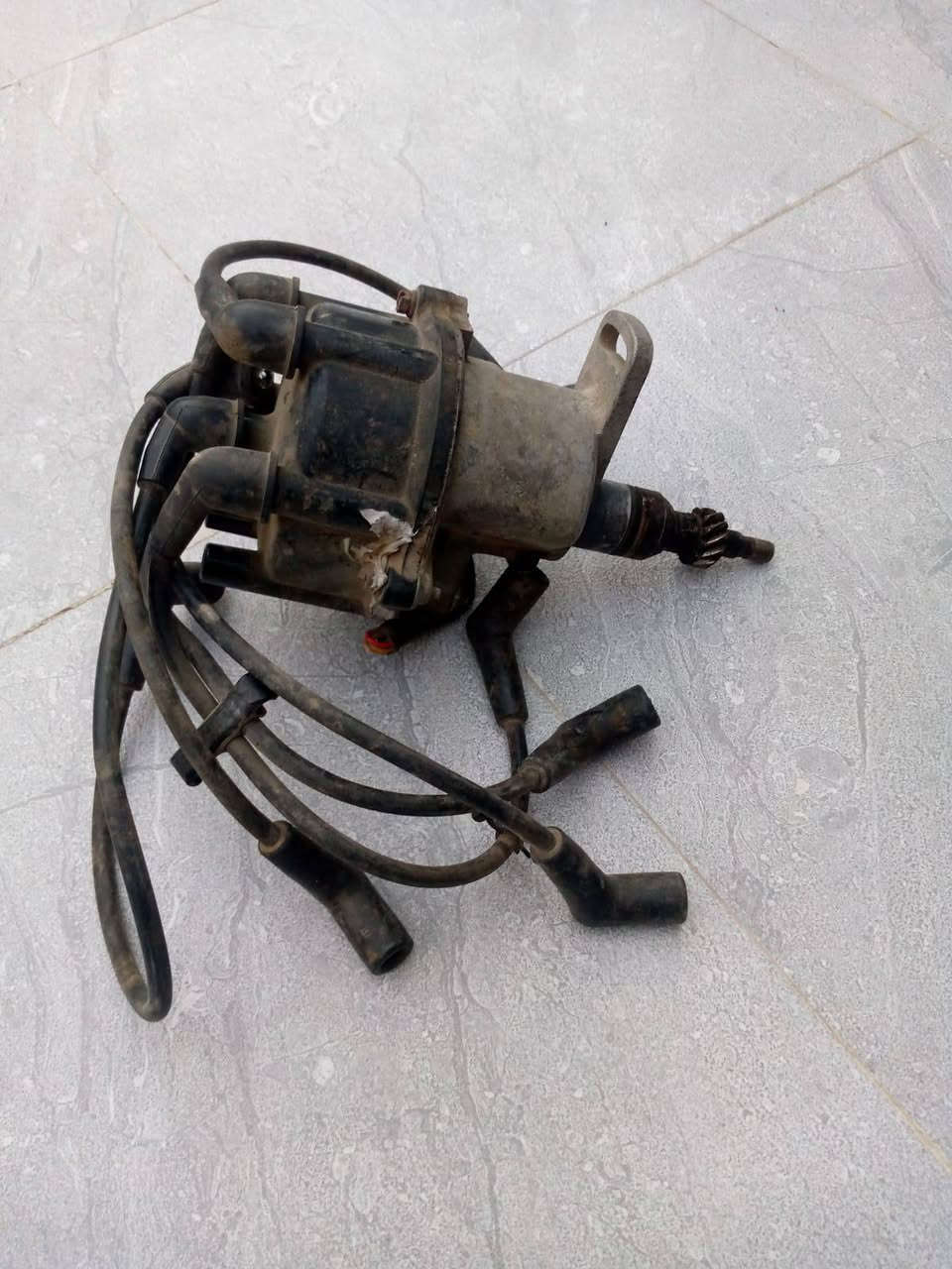 عقل • كوين • ديلكو