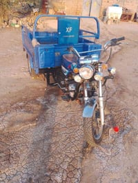 ستوته • ٢٠٢٣ • شرط مداور