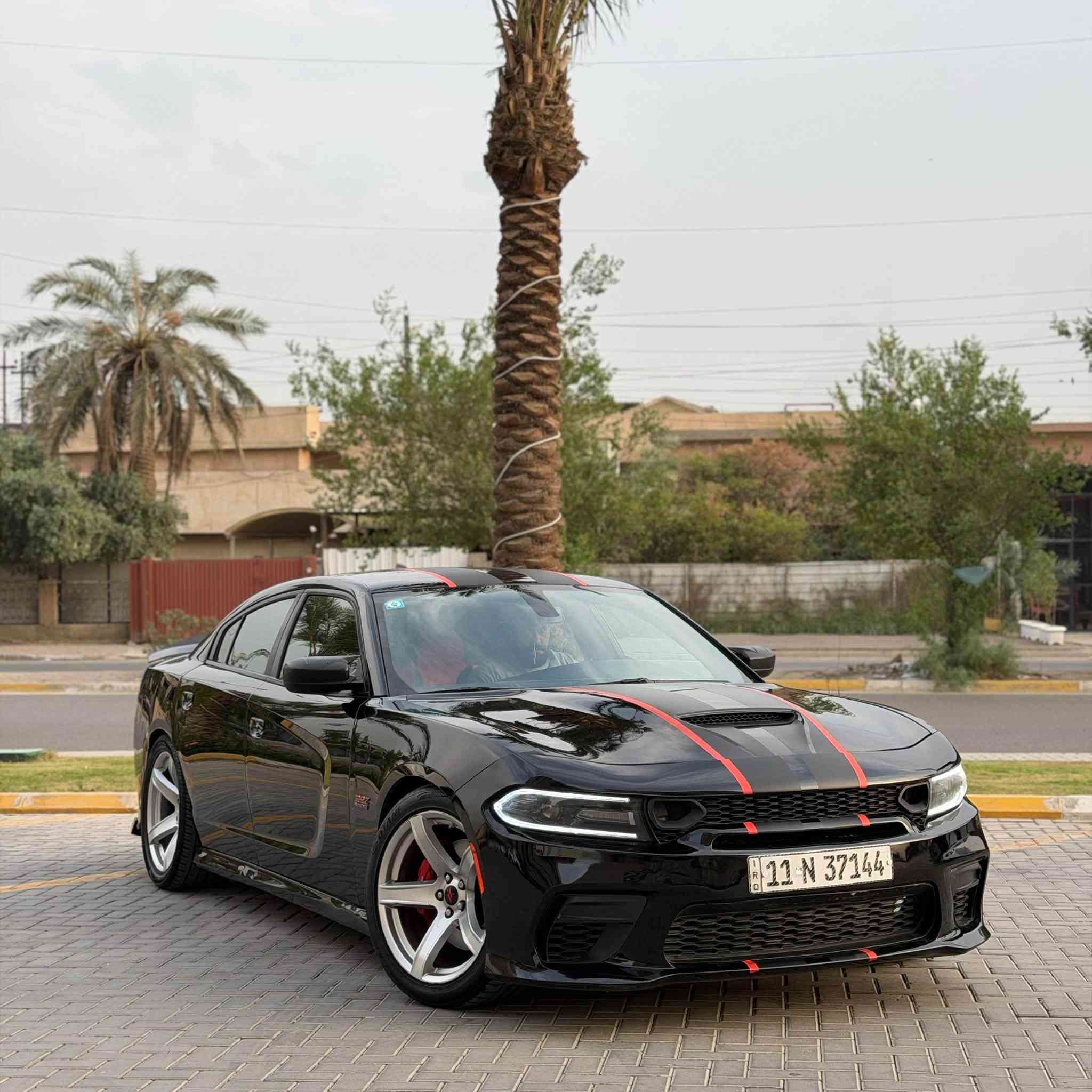 سكات باك • V8 ٦٤٠٠ • رقم بغداد