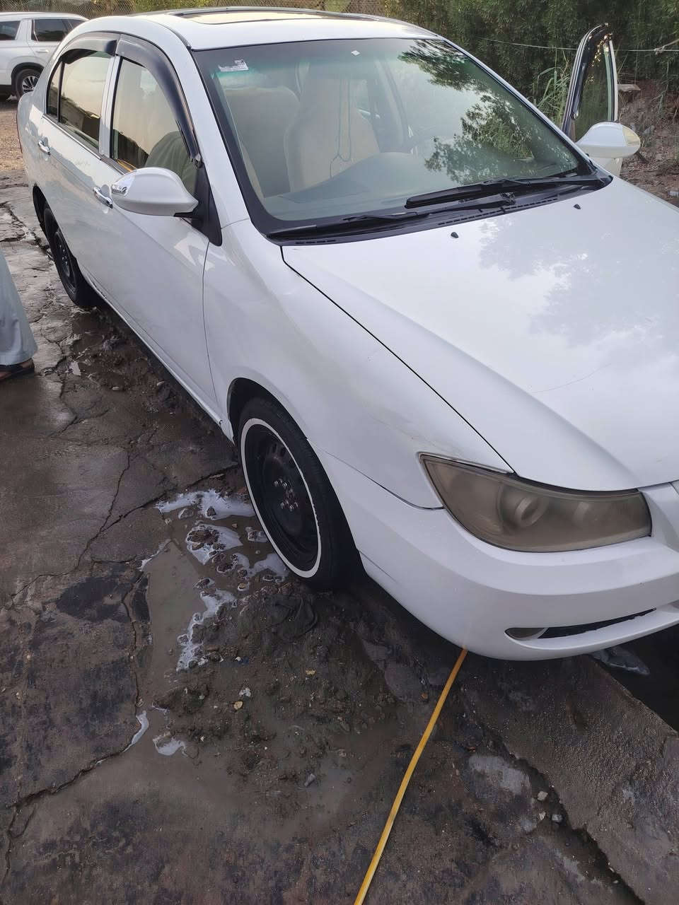 ديفان • ٢٠١٢ • سوق الشيوخ