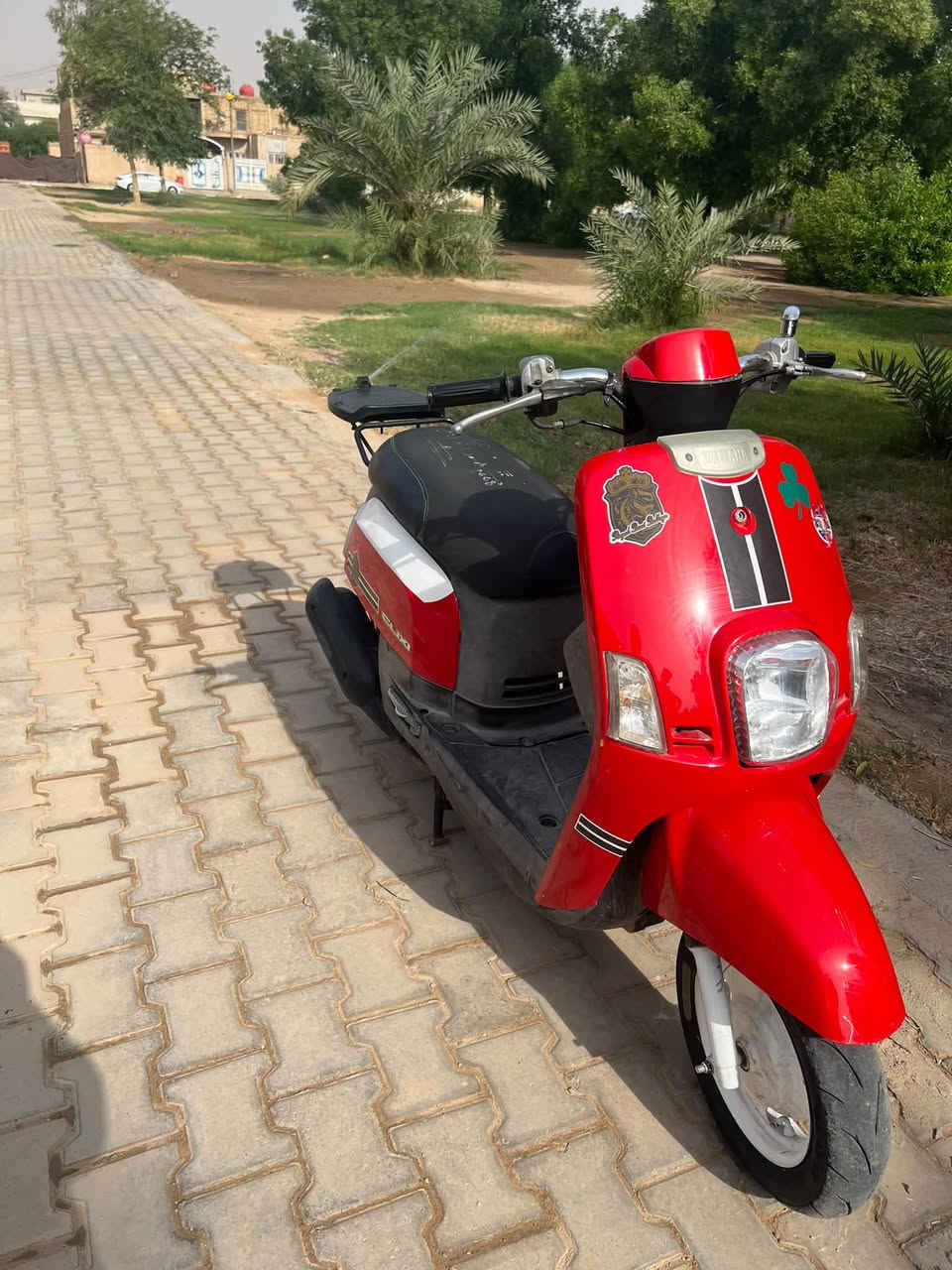 بوليس • نضيفه • سلف مايشغل