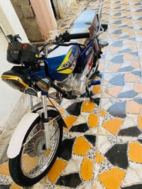 تايكر • ٢٠٢٤ • اربعه كير