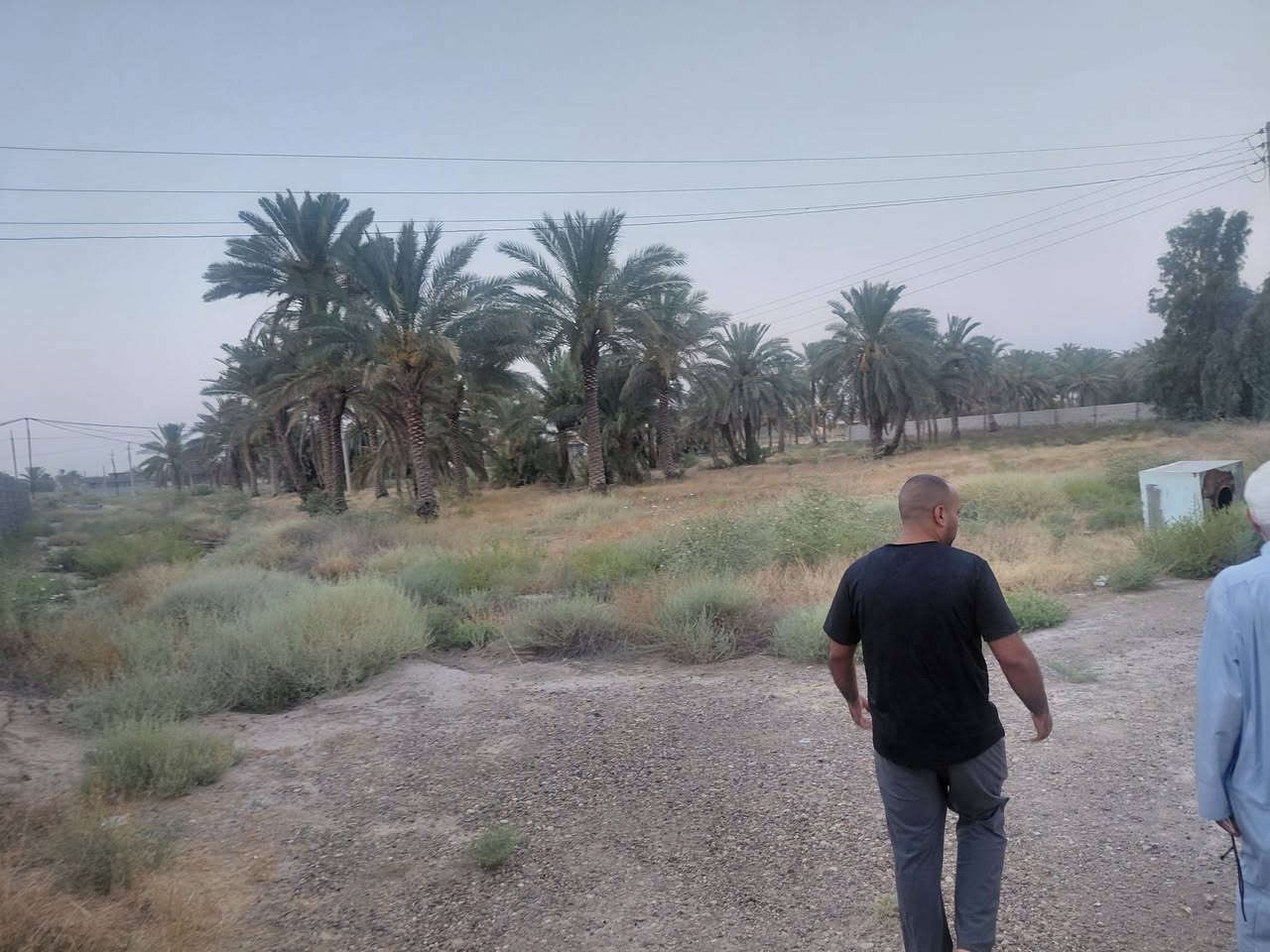 اسلام عليكم ٣ دونم طابو زراعي ٢٥ مسيج بلوك  معه بيت ٣٠٠ متر معه ٦٠ نخله للبيع طريق براهيم ابن علي اتصل واتساب 
***********
