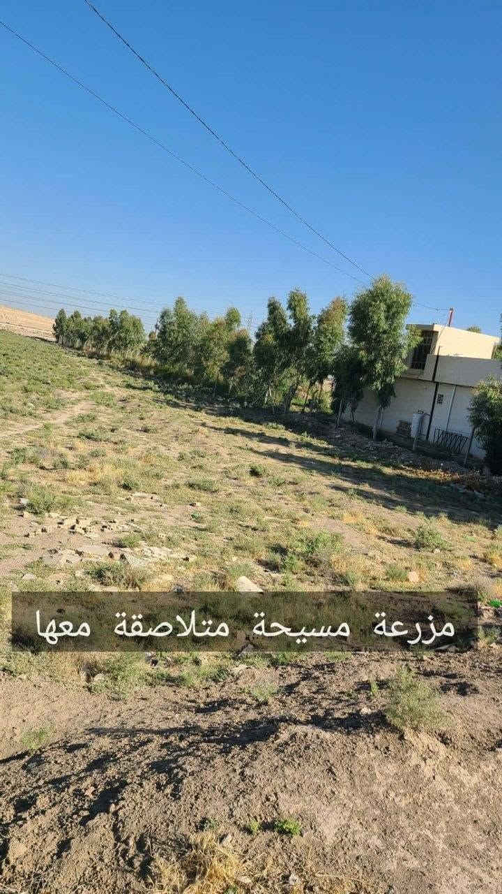 دونم زراعي • ابوغریب الشيحة • محيطة بمزرعة