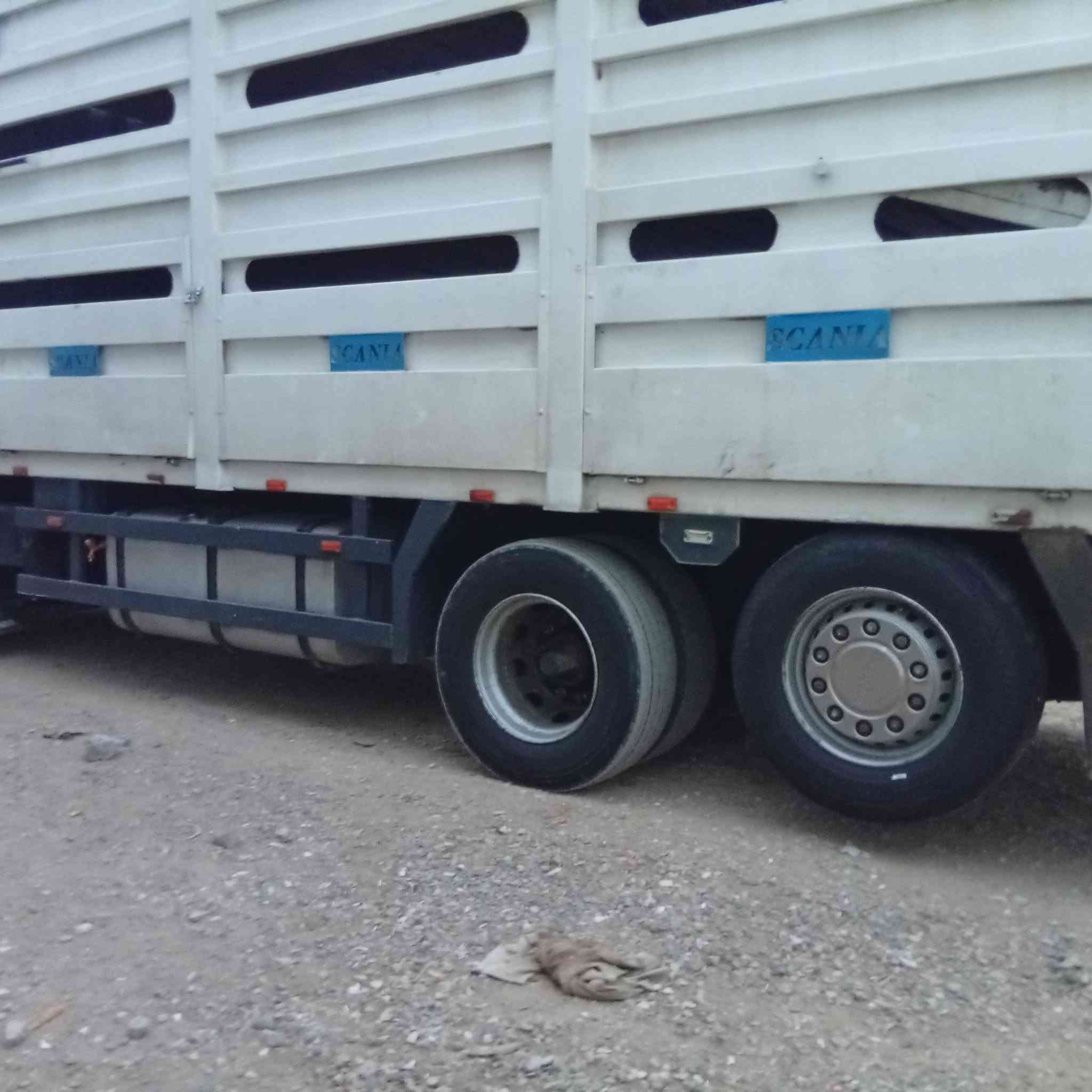 سكانيا • موديل ١٦ • شاصي بدون بدي