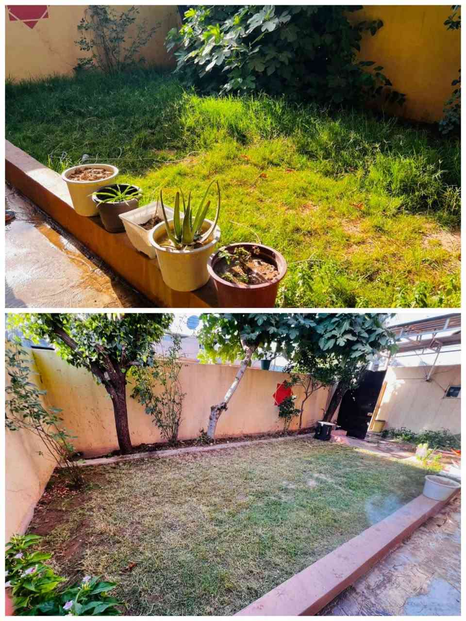 🌳 حدائق الموصل - لخدمات تنظيف وترتيب الحدائق 🌹***********
​هل تبحث عن إطلالة مميزة وجذابة لحديقتك؟ نحن هنا لخدمتك!
نغطي كافة مناطق وأحياء مدينة الموصل (الجانب الأيمن والأيسر) ونقدم لكم أفضل الخدمات الزراعية 
​🛠️ خدماتنا تشمل:
​تقليم وقص الأشجار: ترتيب الأشجار العالية والشجيرات بشكل هندسي وصحي.
​زراعة الثيل الطبيعي: فرش وزراعة الثيل  ليكون بساطاً أخضر رائعاً.
​زراعة الورود والشتلات: تنسيق وزراعة أجمل أنواع الزهور الدائمة والموسمية.
​تنظيف وترتيب الحدائق: إزالة الحشائش الضارة، تنظيف المخلفات، وإعادة الحياة لحديقتك.
​💰 أسعارنا:
​أسعار مناسبة جداً ومنافسة وتعتمد على حجم الحديقة ونوع العمل المطلوب. رضاكم هو هدفنا!
​📞 للتواصل والاستفسار:
​يمكنكم الاتصال مباشرة أو المراسلة عبر الواتساب على الرقم:
👉 *********** 👈
