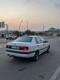كولف فينتو • ١٩٩٣ • بدون صبغ