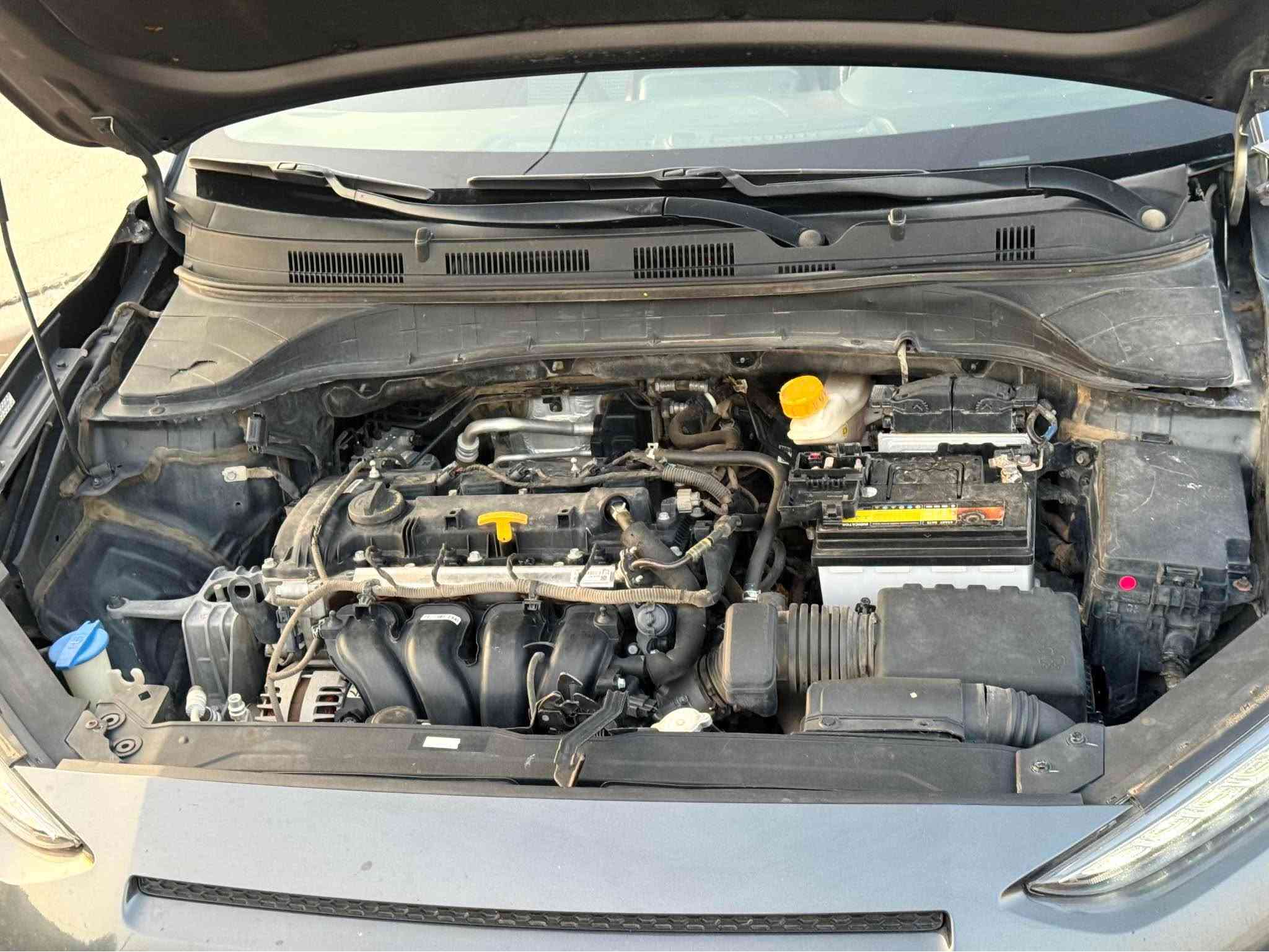 كونا 2020 
فول مواصفات لميتد 4*4
بيها جاملغ سايق وبوند صبغ وراس شاصي شويه معدل وايرباك ستيرن سستم شركه رقم شاصي مرفق بلمنشور 
السعر 120$ ومجال 
العنوان دهوگ 
***********
*********** Leimuiden, ZH
