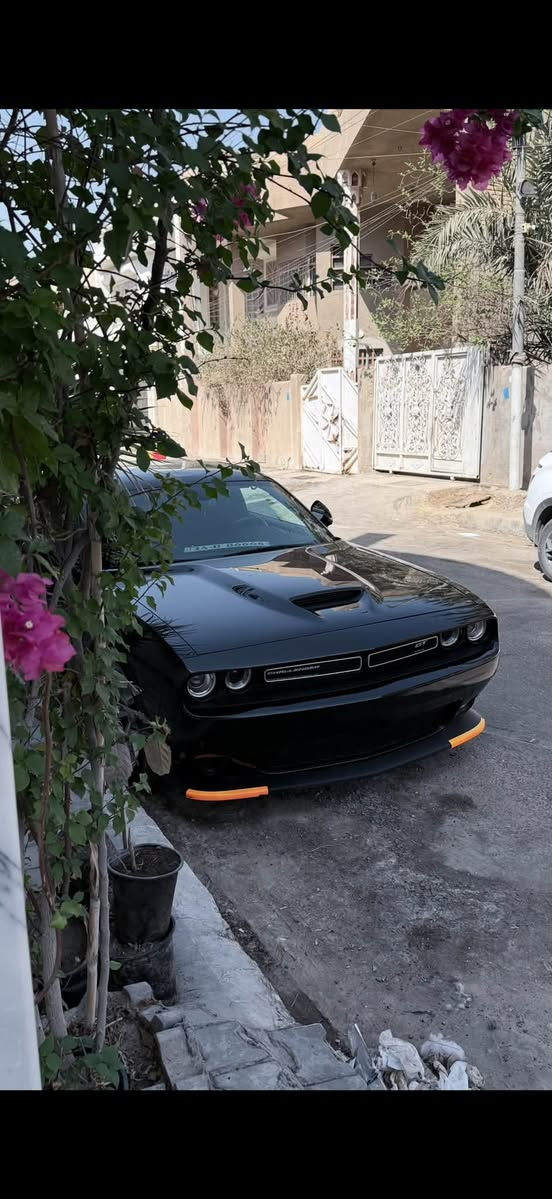 جالنجر GT 2023 لاست كول 3600 V6
حادثها تقرير غرق ما طاب للداخل قطره ماي شغاله من امريكا فيوز ما مبدل بيها و ما بيها اي عط و اي كلوب من دخلت للعراق لليوم بيها البنيد كلير من امريكا السياره نظيفه و نصبتها تموت و بجمها كبس لا حماوه لا اعطال لا اي شي تاخذها و تطلع و بالعافيه عالياخذها
للاستفسار ***********
