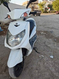 سكنس فحل • ياباني • نفخ