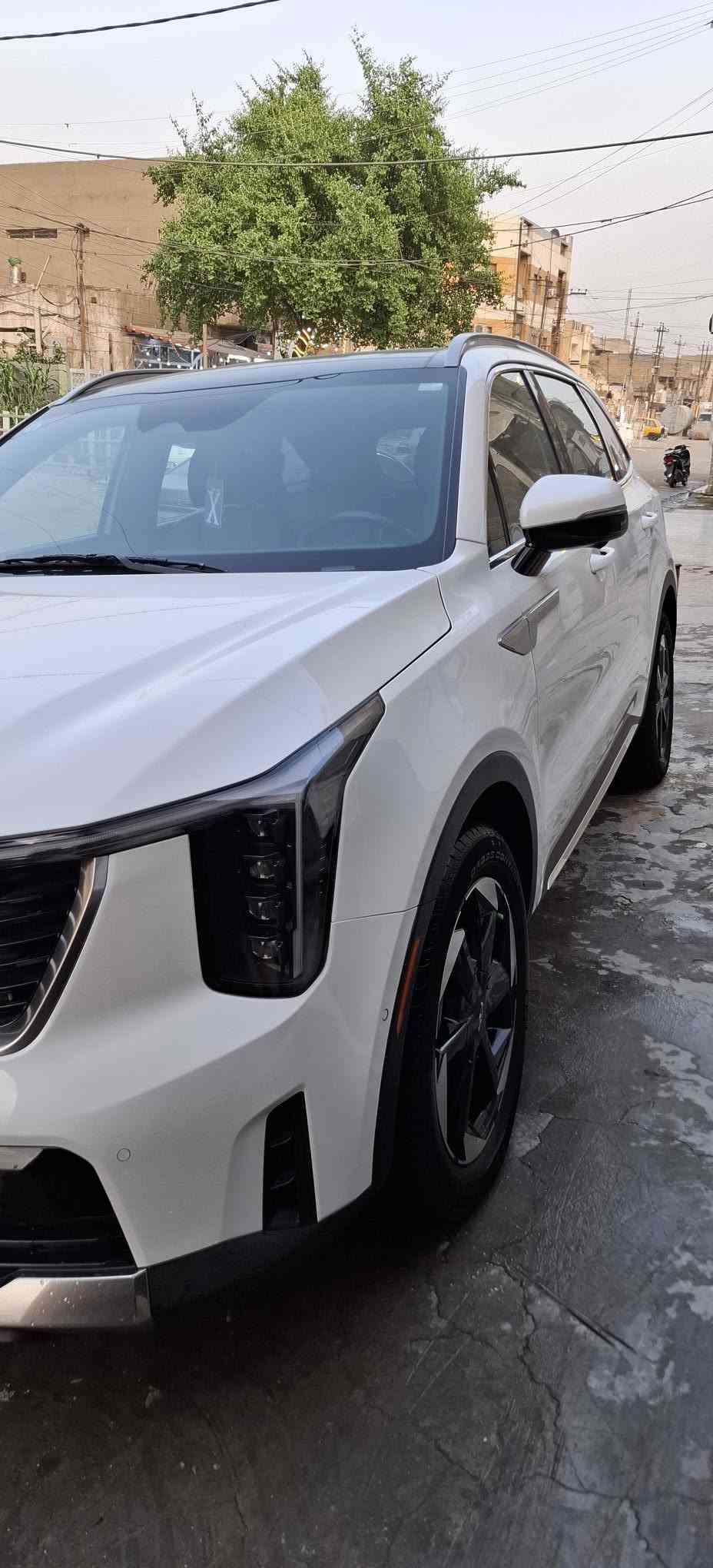 سورنتو هايبرد • ٢٠٢٥ • ٧ راكب