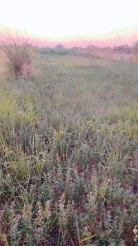 بسم الله الرحمن الرحيم..  على بركة الله  متاح/ ارض زراعية مساحتها دونم...