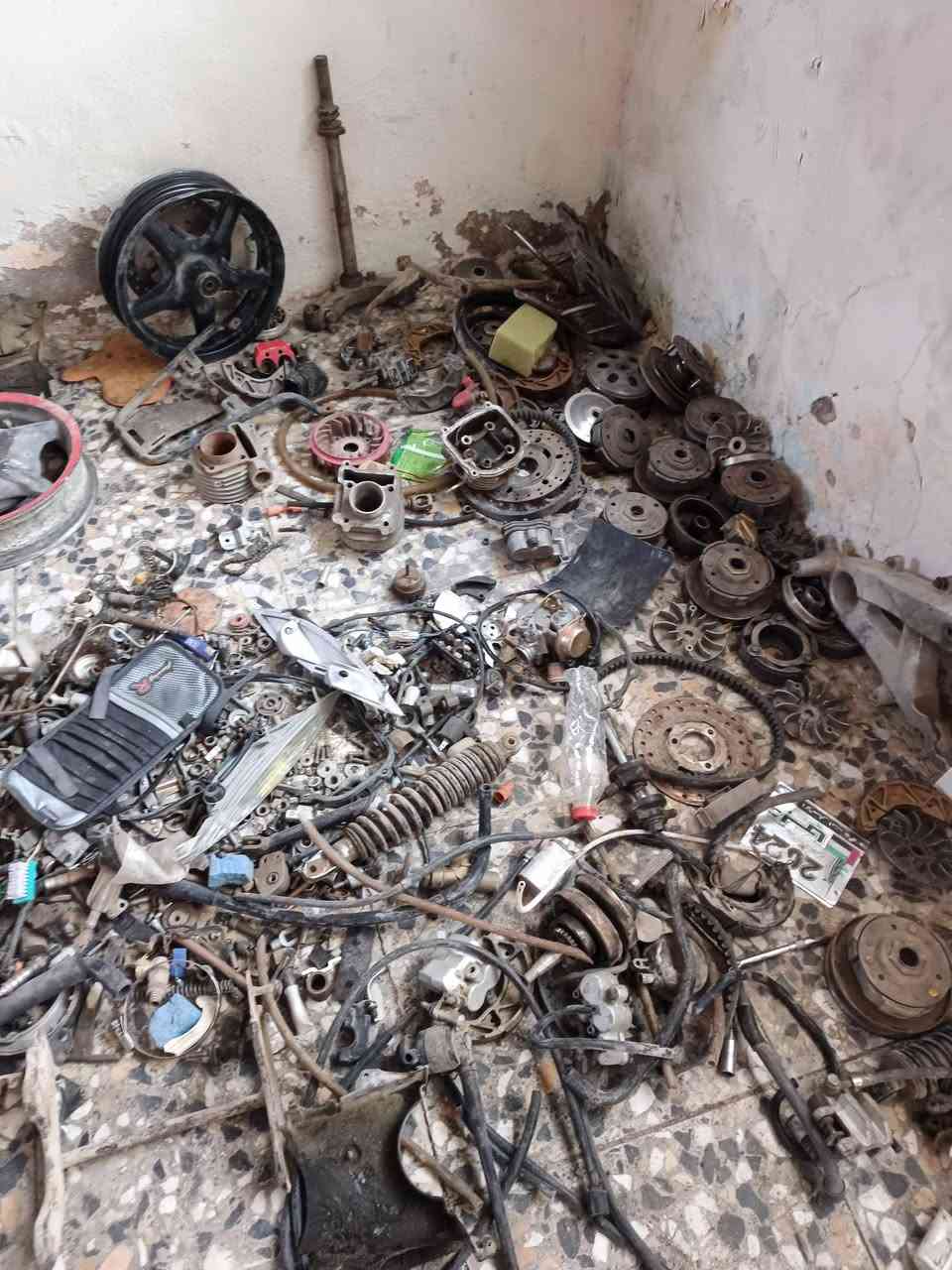 تفصيخ سكنز فحل ونثيه بغداد مدينة الصدر وهذا رقمي ***********
