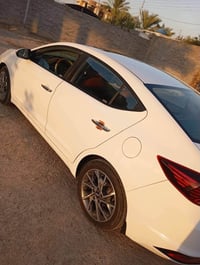 الانتره • ٢٠١٩ • رقم بغداد