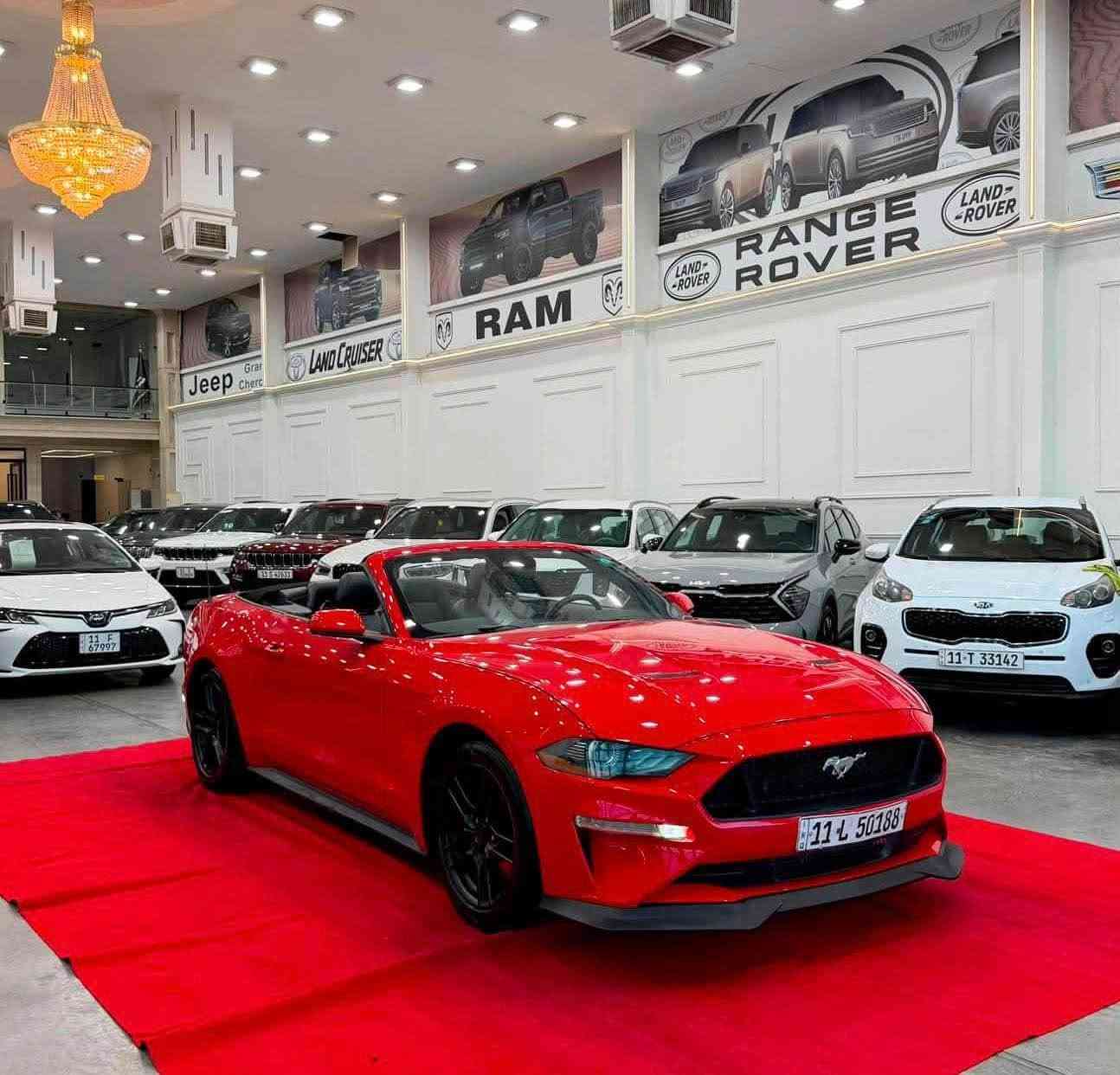 🏎️ فورد موستنج 2022 - بريميوم فول (كشف) للبيع 🏎️
🔹 المواصفات العامة:
 الموديل: 2022
 الفئة: بريميوم فول (كشف)
 المحرك: 4 سلندر 2300 تيربو (EcoBoost)
 المسافة المقطوعة: 52 ألف كم
🔹 المواصفات والاضافات:
 كشنات جلد (تدفئة + تبريد)
 كشنات تحكم كهرباء
 شفتات ستيرن للسرعة
 شاشة وكاميرا خلفية
 رادار أمامي + رادار جانبي
 حساس خلفي
🔹 حالة السيارة (الحادث):
 الحادث: جاملغ وبنيد
 التفاصيل: البنيد مستبدل نفس اللون، والجاملغ مصبوغ
💵 السعر: 145 ورقة ($14,500) وبيه مجال طيب للشراي
📍 العنوان: بغداد - الكاظمية
*********** بغداد, العراق
