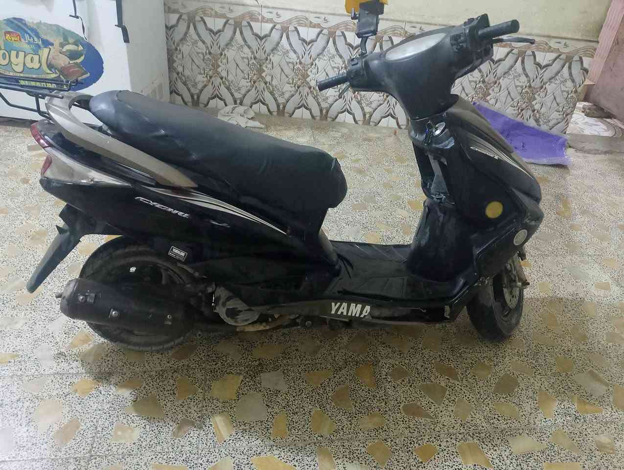 سكنس • ياباني • ١٤٠