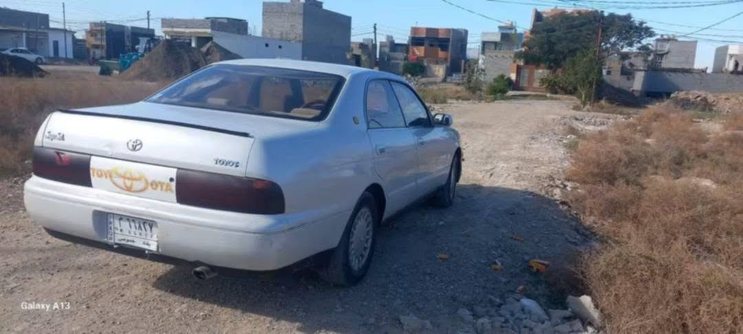 مصبوغة • بدون ظربة • بعقوبة
