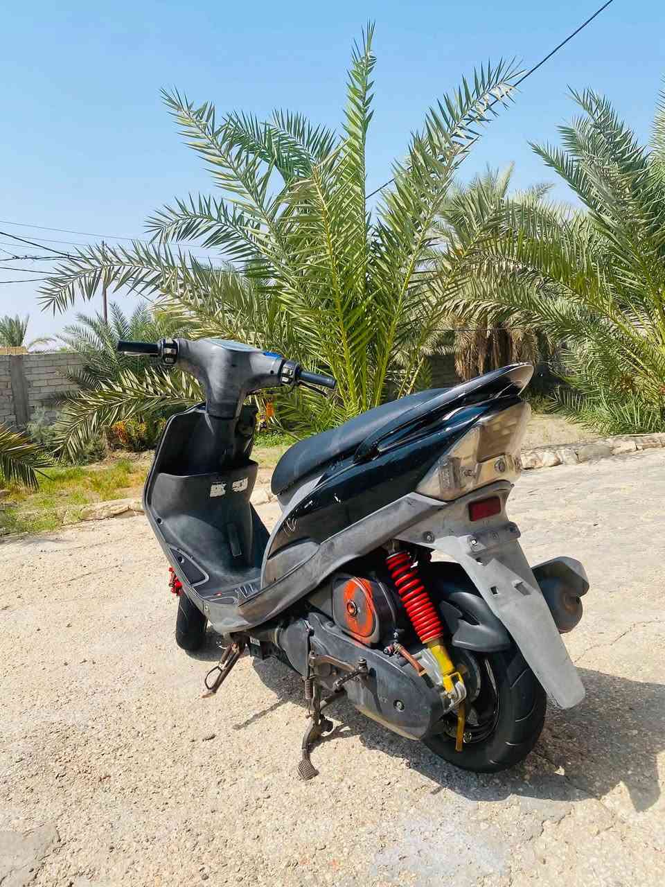 ماكس عدله • تفاصيل