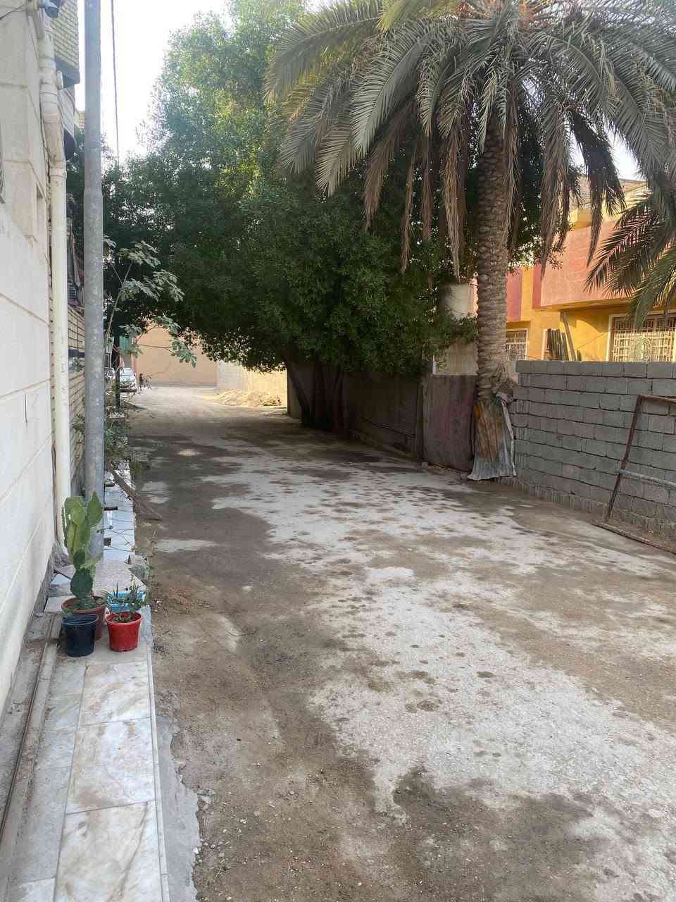 لا توجد تفاصيل
