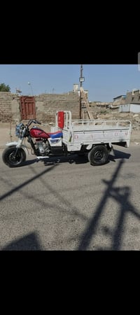 ستوته • راغصولي • ٢٠١٧