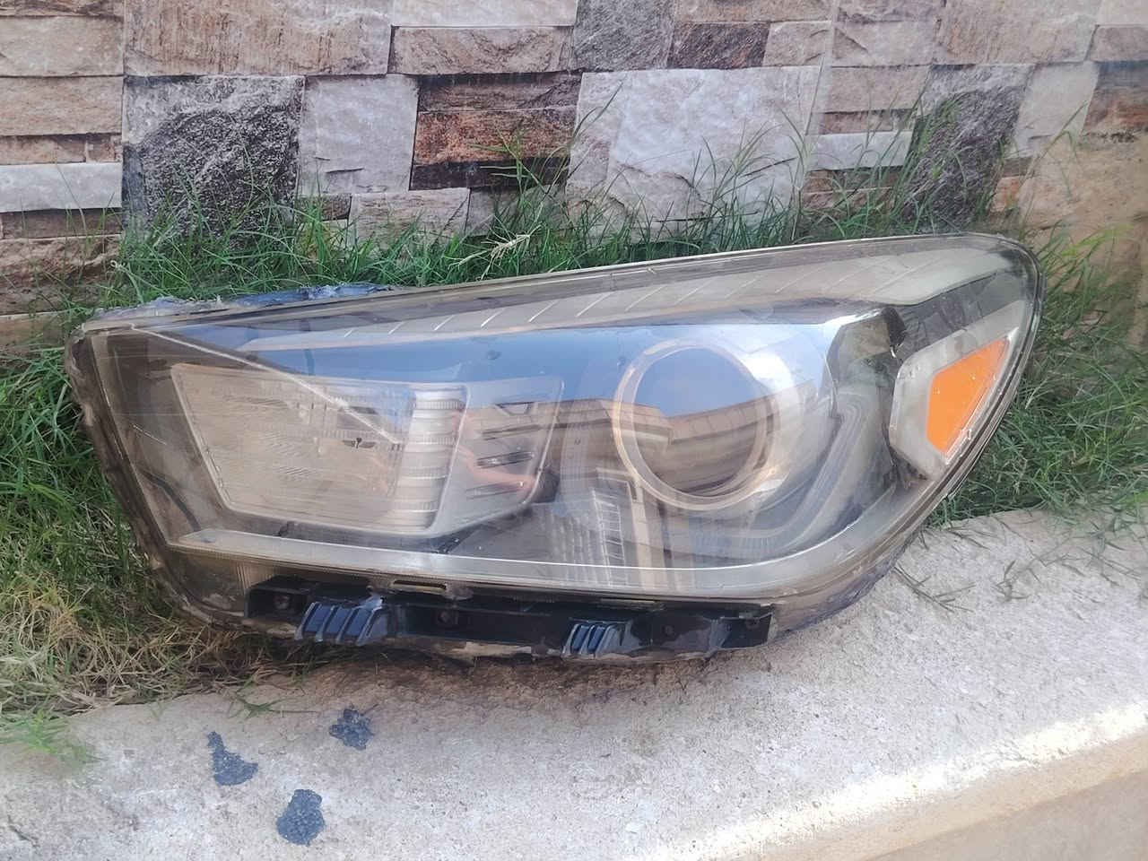 مبادرة بالجمعيه • ٢٠٢٠ • اصلي