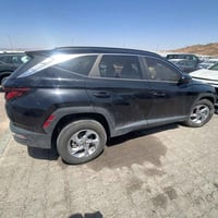 توسان • ٢٠٢٤ • وارد امريكي
