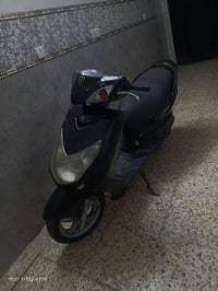 سكنس فحل • بوشة 55 • معدل