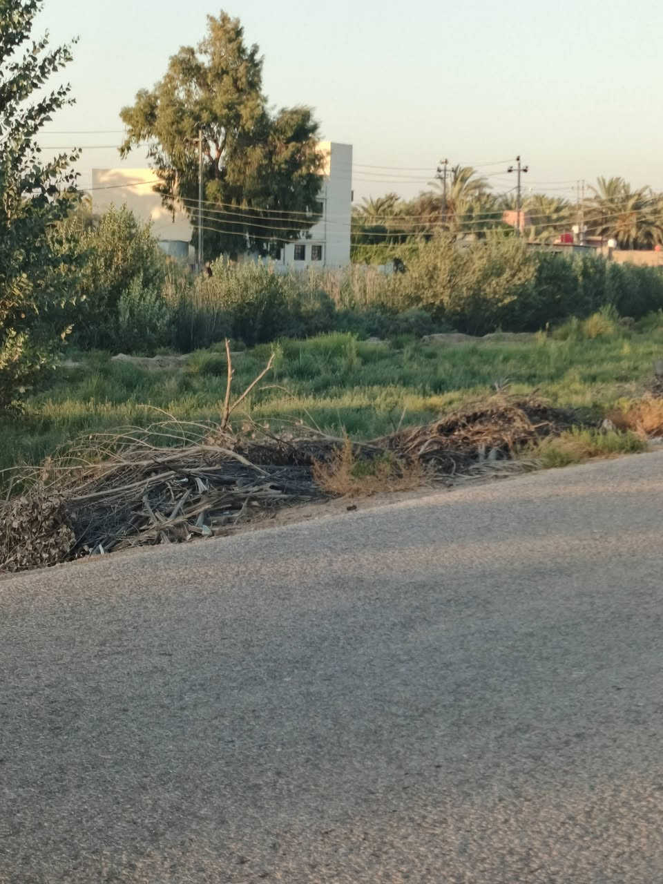 الكتابة
🌴 للبيع أرض طابو صرف – 3 دونمات 🌳
📐 المساحة: 3 دونمات
📜 طابو صرف
🌴 تحتوي على نخيل وأشجار تين مثمر
📍 الموقع: منطقة الدورة – قضاء السنية
🚗 تبعد عن الشارع العام طريق حلة–ديوانية حوالي 2 كم
💧⚡ متوفر كافة الخدمات
📞 للاستفسار:
***********
***********
📍 للاستفسار أكثر مراجعة مكتب الساقي للعقار – الشارع التجاري
أبو سجاد للعقار
