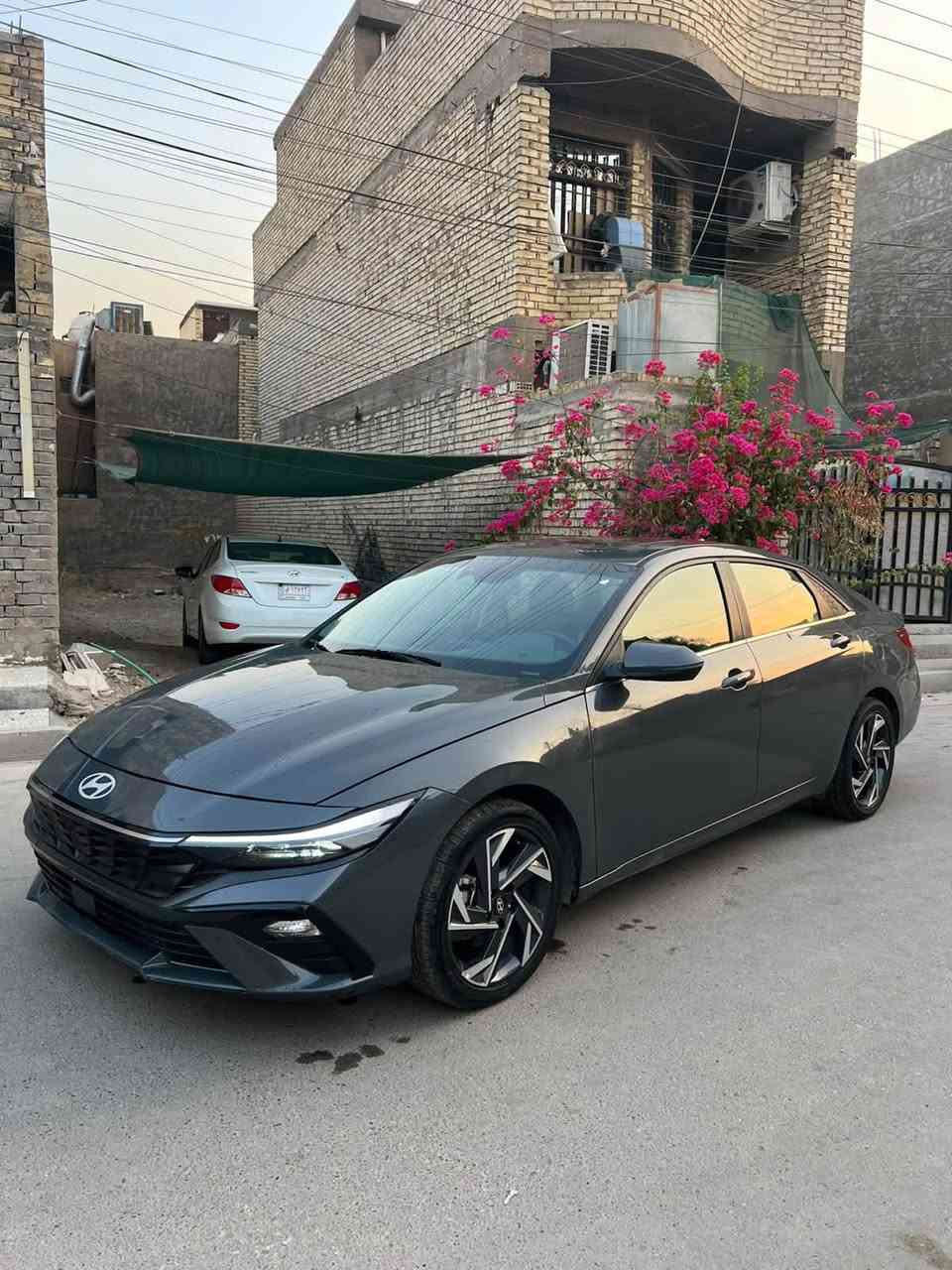 النترا هايبرد • ٢٠٢٤ • فل اوبشن