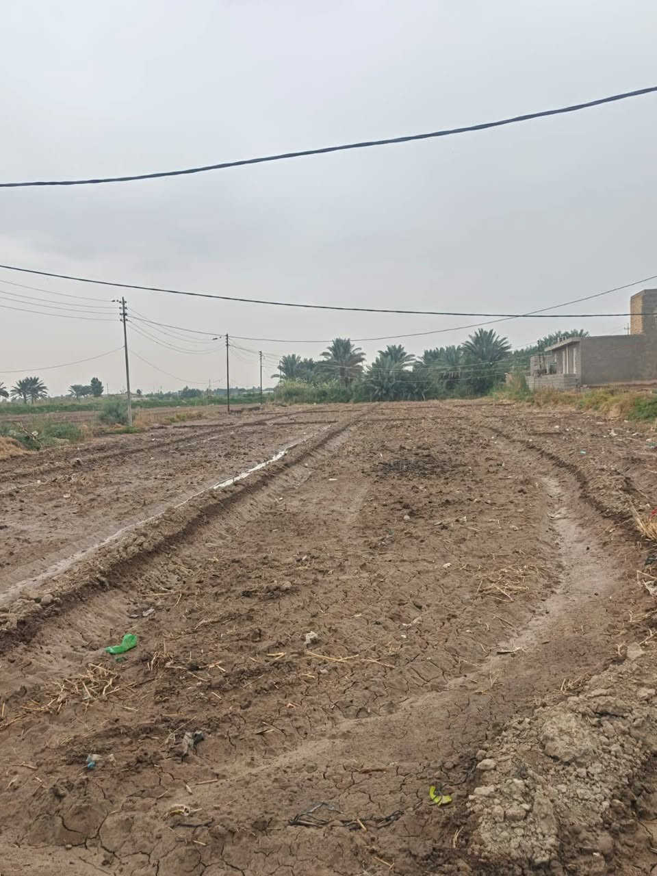 أرض زراعية • دونم ونص • كوت اليوسفيه