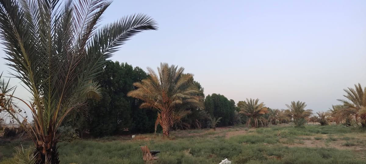 ٥ دونم • بستان • مشروع ري